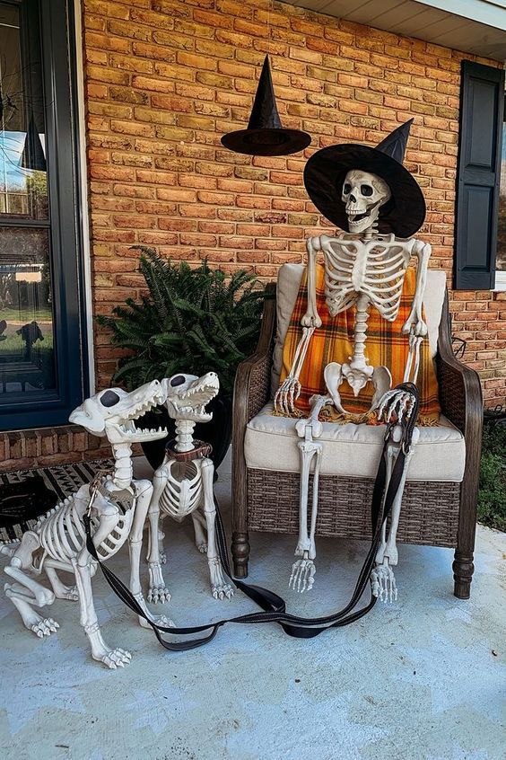 Skeletal Pet Walk Display