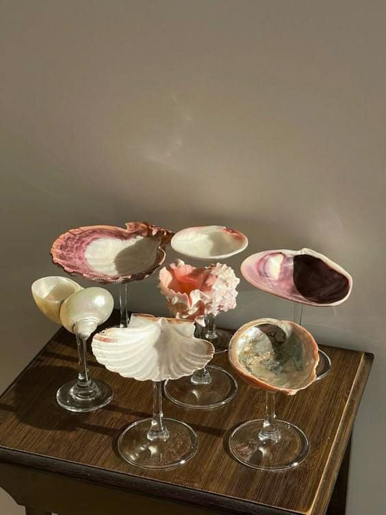 Elegant Seashell Goblet Display