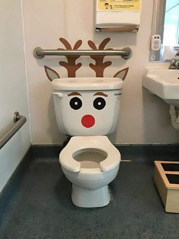 Rudolph Toilet Transformation