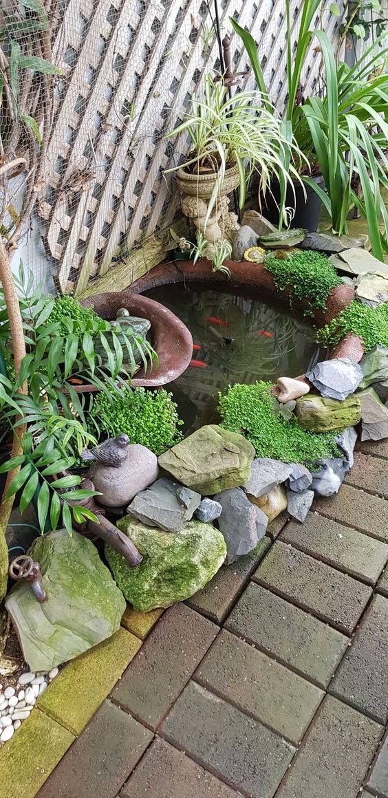 Zen Corner Water Oasis