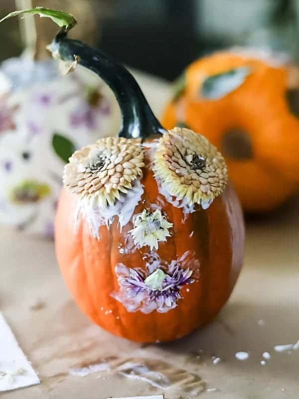 Enchanting Floral Face Pumpkin