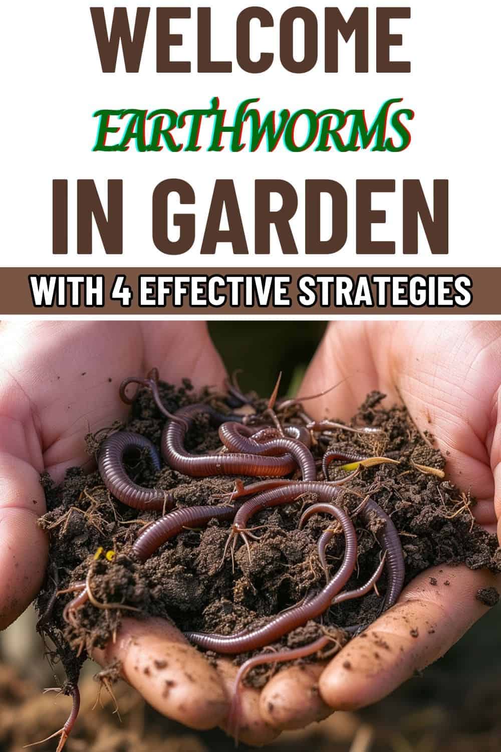 4 Effective Strategies to Welcome Earthworms into Your Garden