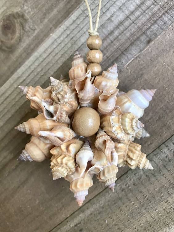 Seashell Starburst Ornament