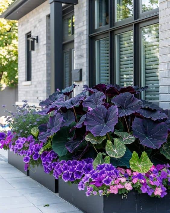 Bold Purple Porch Elegance