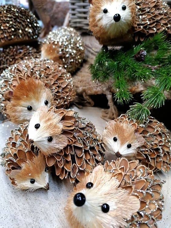 Adorable Pinecone Hedgehog Family