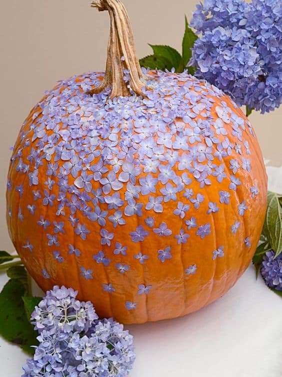 Lavender Hydrangea Pumpkin Dream