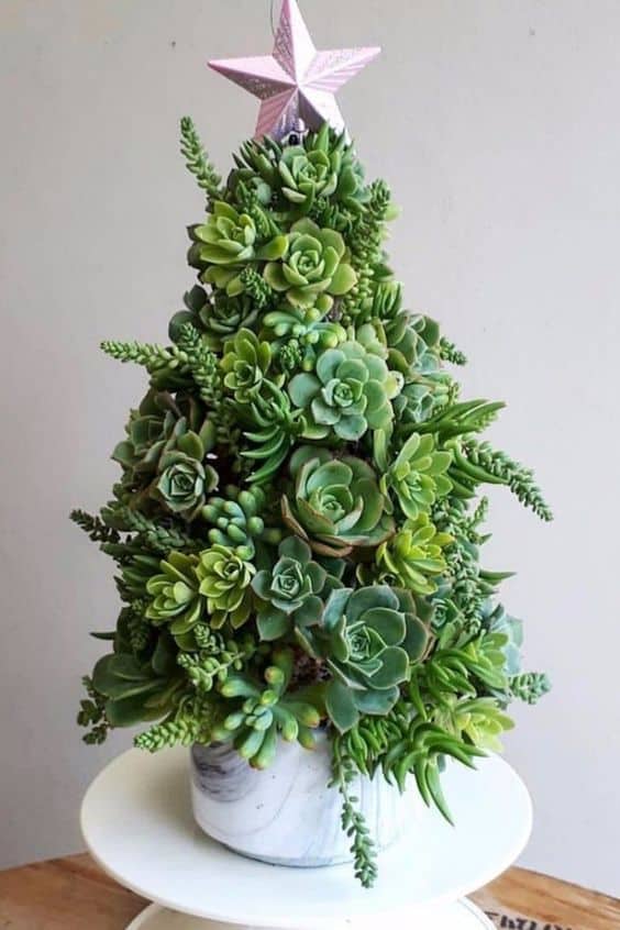 Lush Succulent Christmas Tree