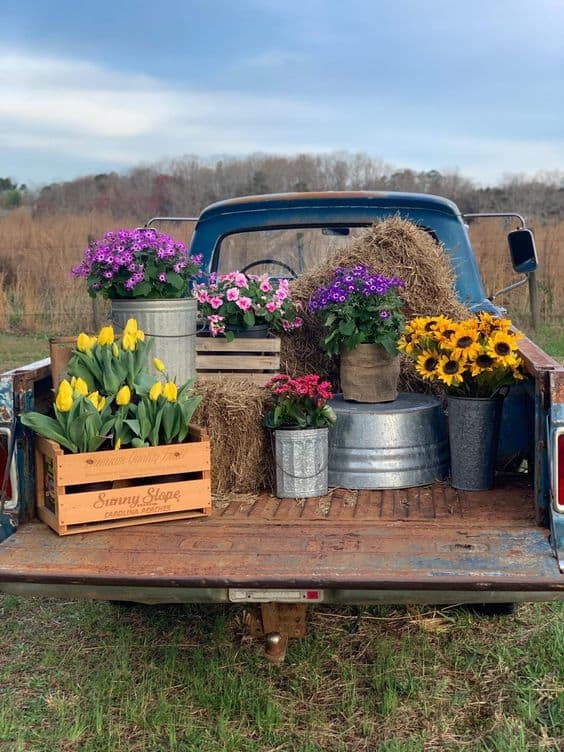 Rustic Truck Bed Garden