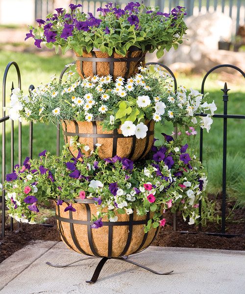 Charming Triple-Tiered Bloom Display