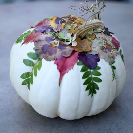 Botanical Blossom Pumpkin Art