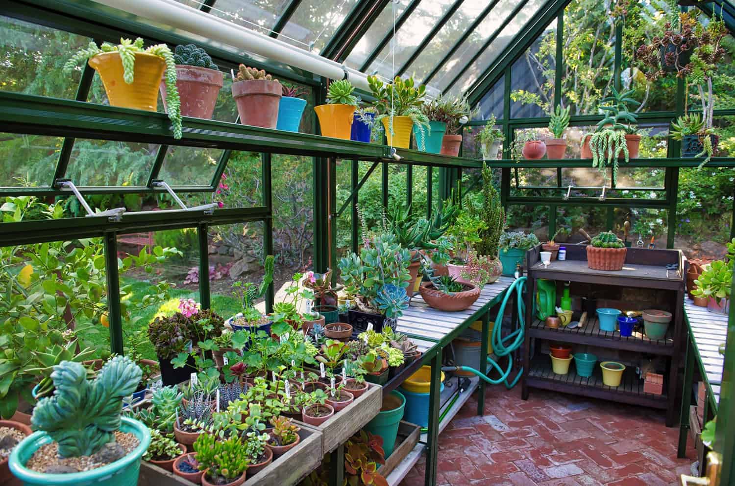 20+ Awesome Backyard Greenhouse Ideas For Gardening Enthusiasts