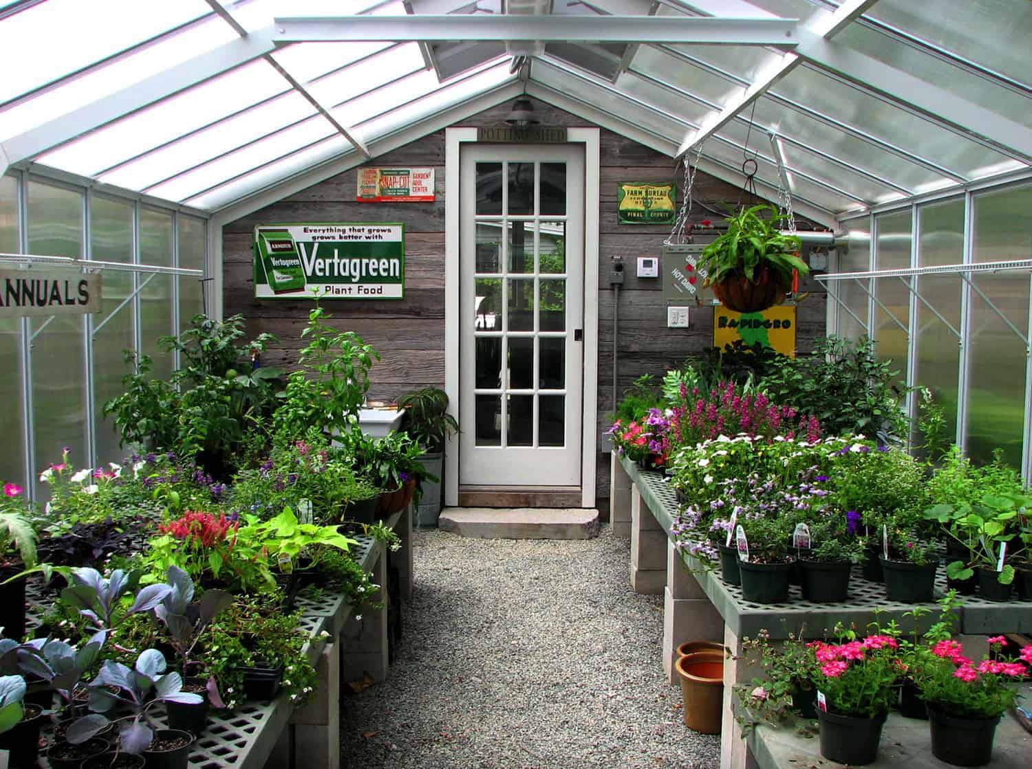 Greenhouse Image 4