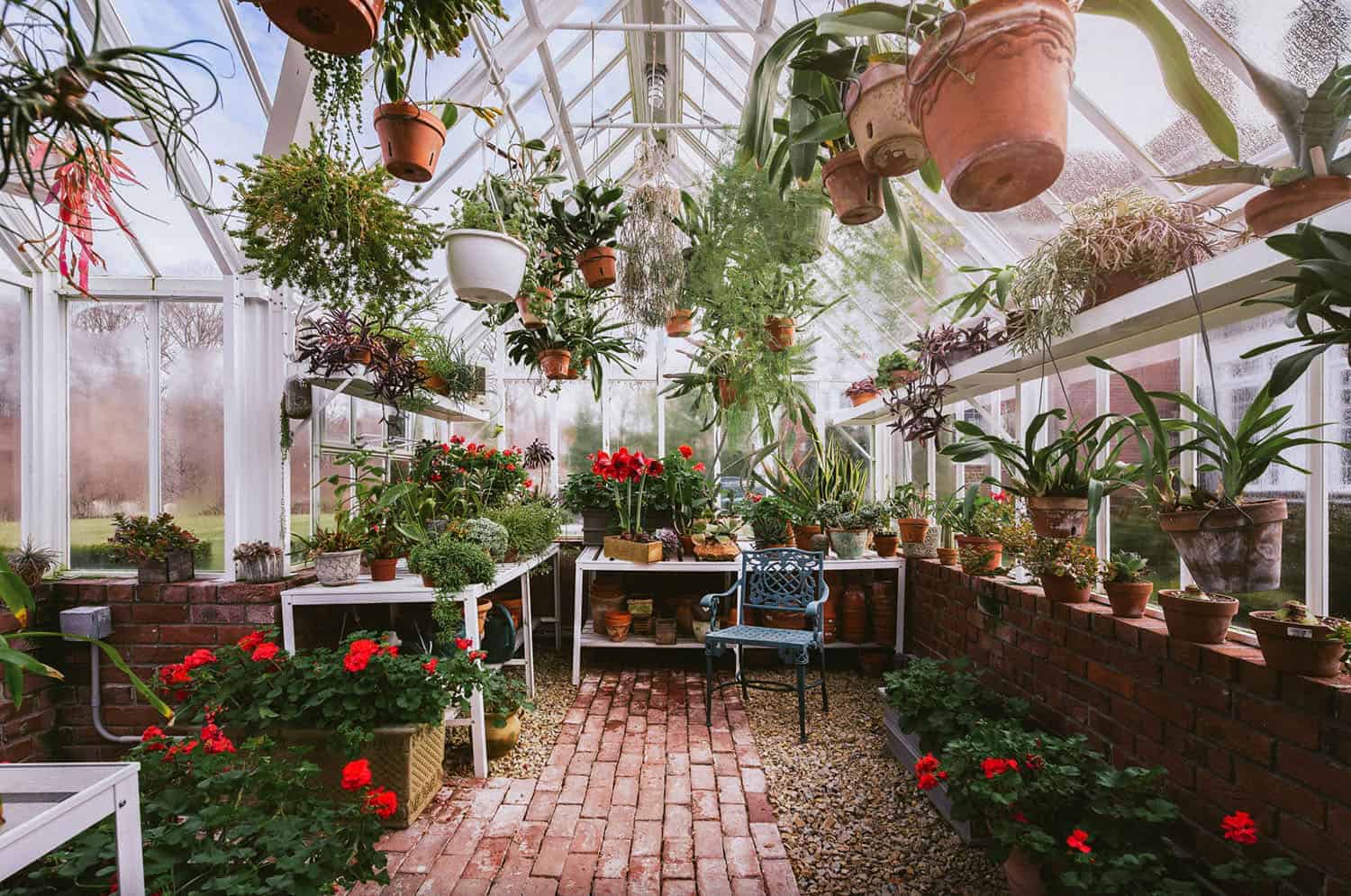 20+ Awesome Backyard Greenhouse Ideas For Gardening Enthusiasts