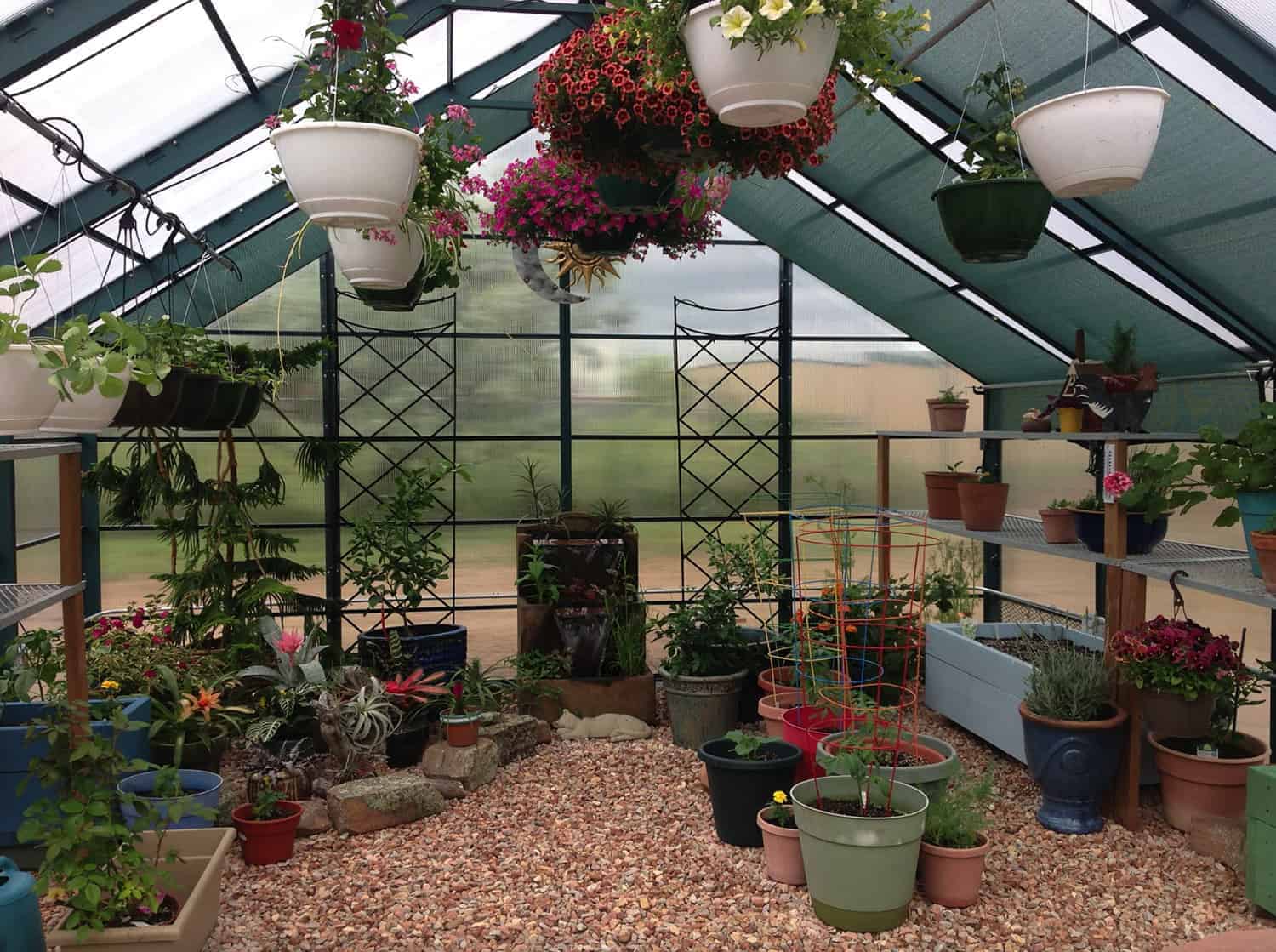 20+ Awesome Backyard Greenhouse Ideas For Gardening Enthusiasts