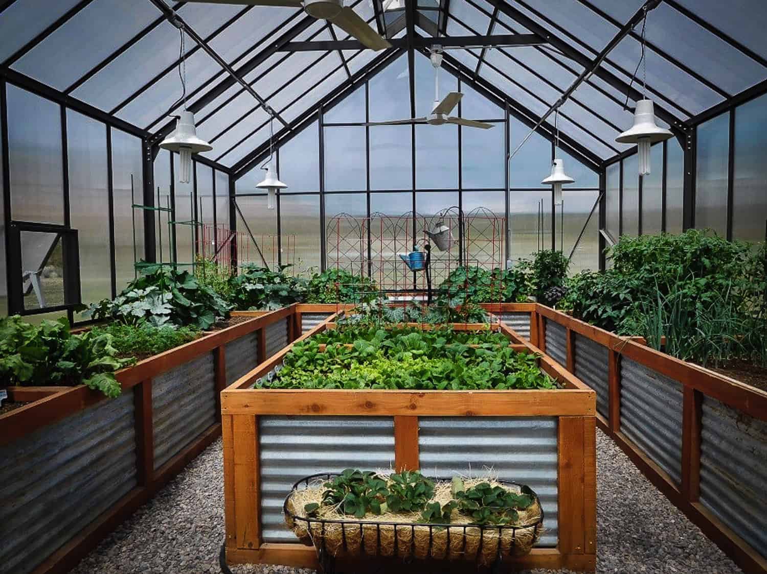 vegetable-garden-greenhouse