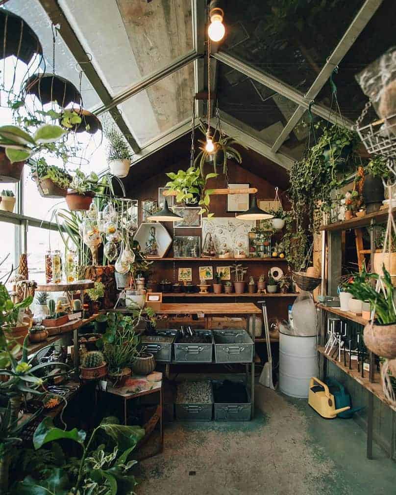 backyard-greenhouse