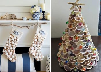 Christmas Seashell Ideas