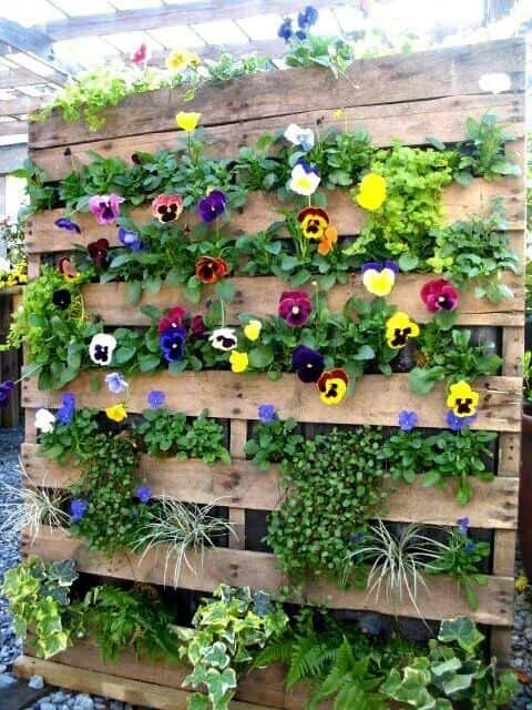 Colorful Pallet Vertical Raised Garden