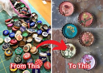 Creative Ways to Reuse Bottle Caps