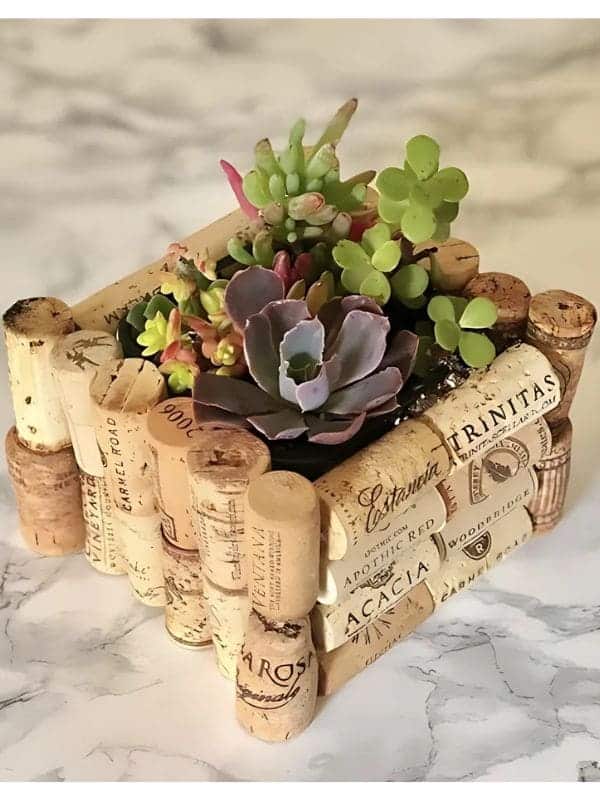 Eco-Friendly Cork Succulent Planter