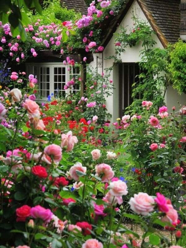 Enchanting Rose Wonderland Cottage