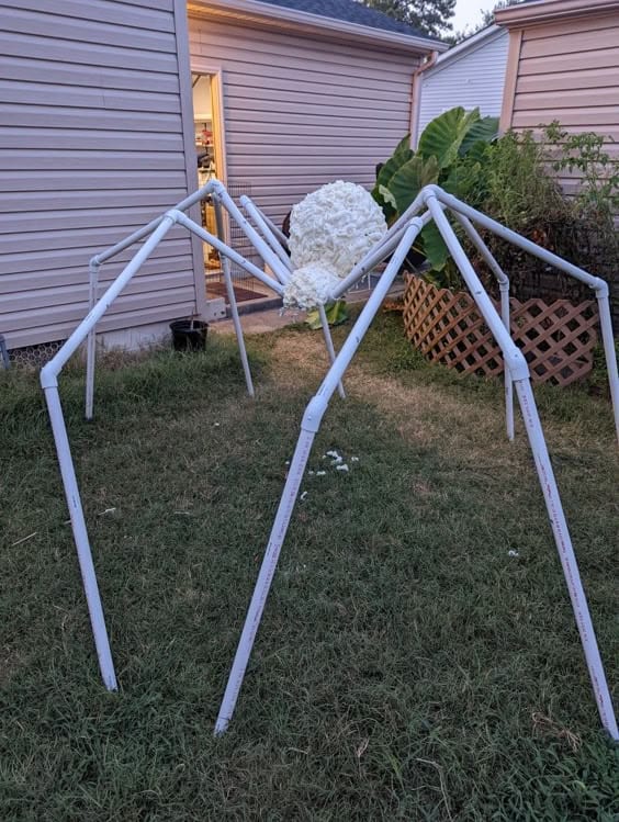 Giant Spider Halloween