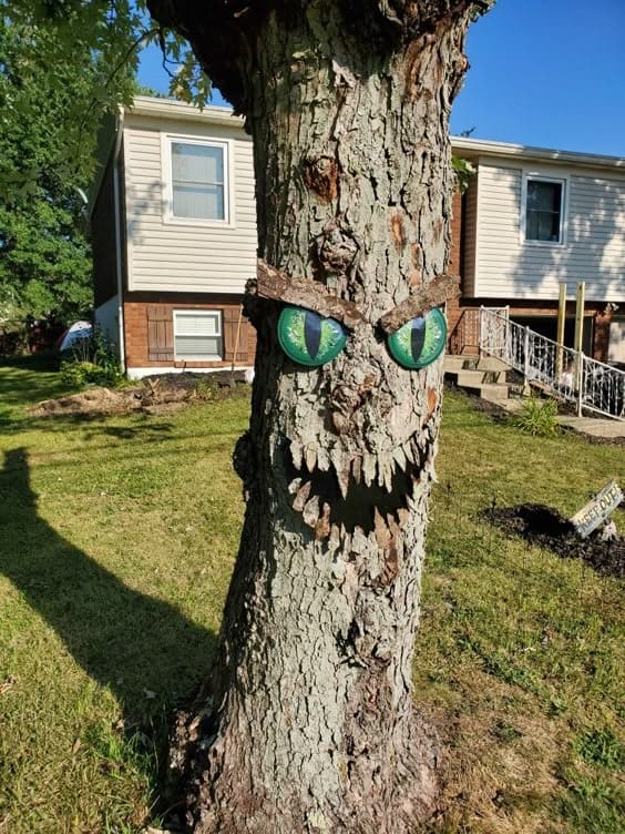 Haunted Tree Face