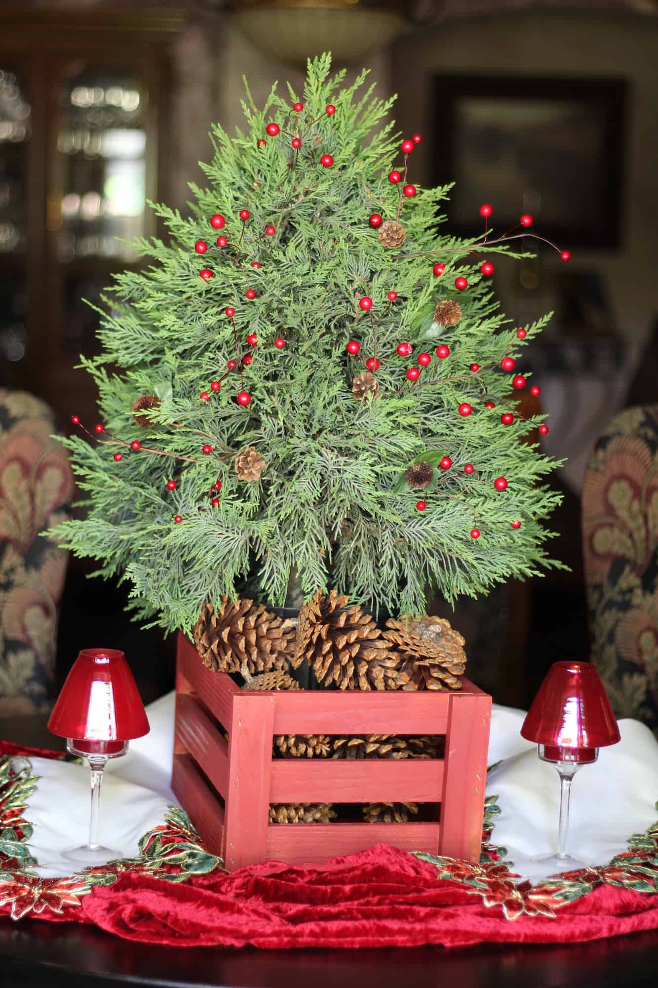 Festive Evergreen Juniper Display