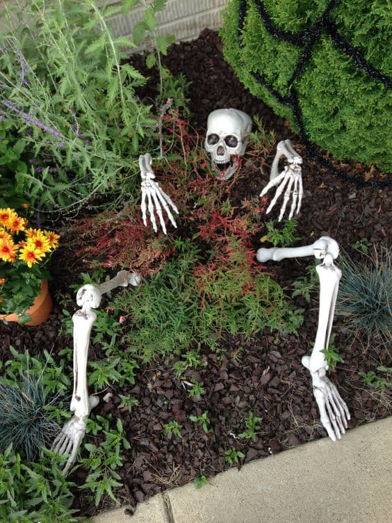 Skeleton Garden Escape