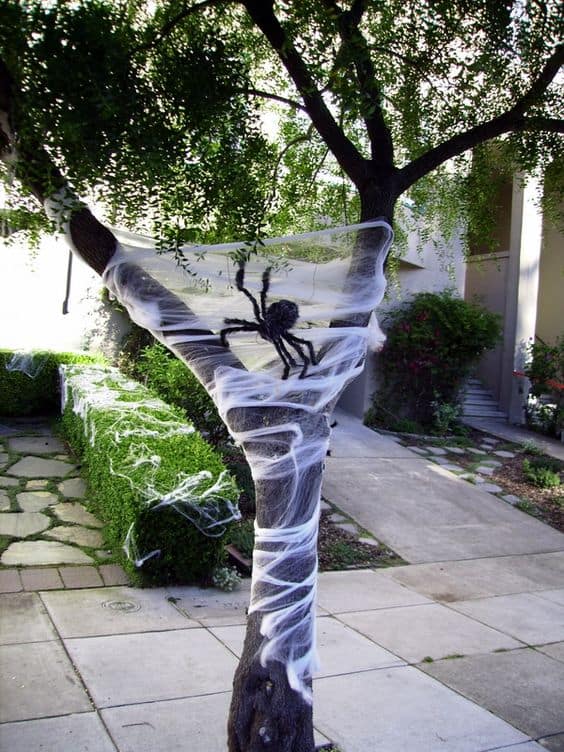 Spider Web Wrapped Tree