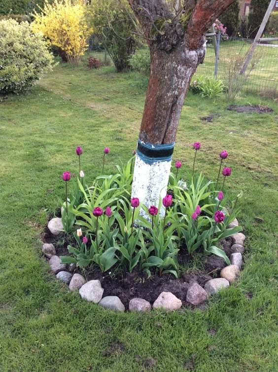 Tree-Surround Rock Raised Bed