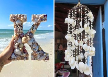 Ways to Reuse Seashells
