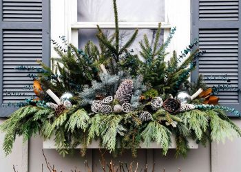 Window Boxes Christmas Idea