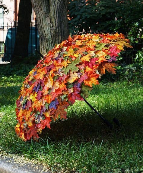 Autumn Leaf Umbrella Masterpiece