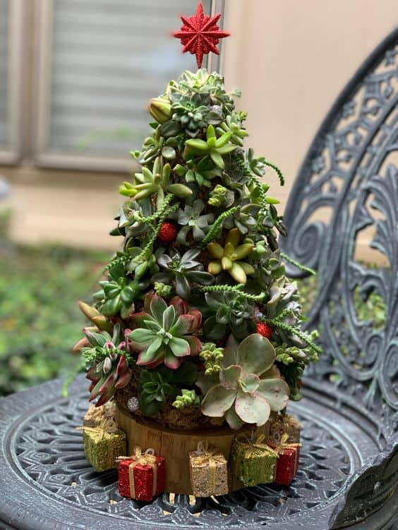 Succulent Holiday Charm