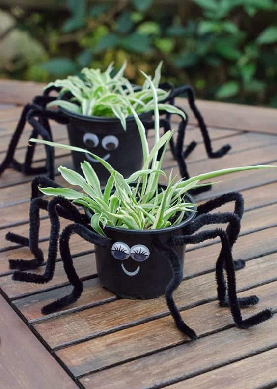 Creepy-Cute Spider Planters