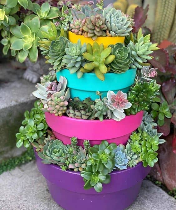 Vibrant Succulent Tiered Tower