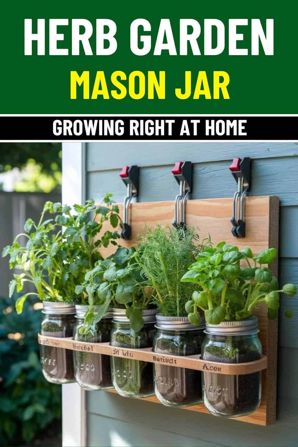 5 Easy Steps to Build Your Own Mason Jar Herb Garden at Home