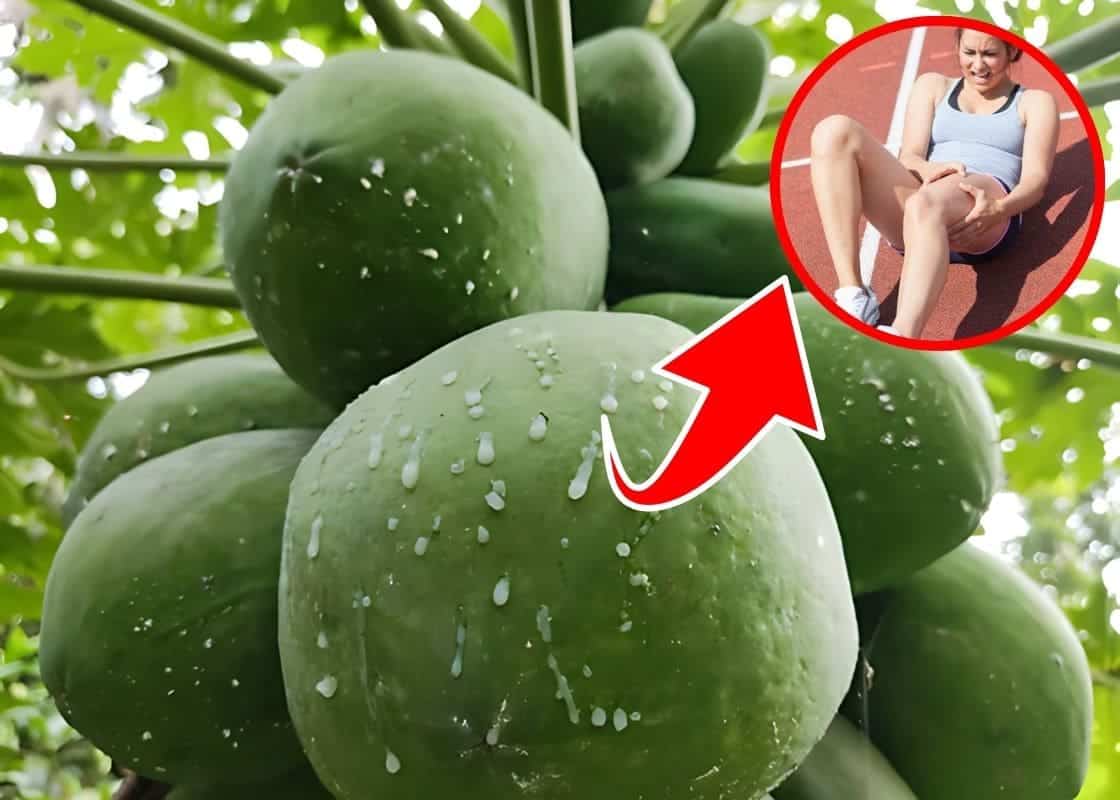 5 Surprising Health Benefits of Papaya Sap Most People Overlook