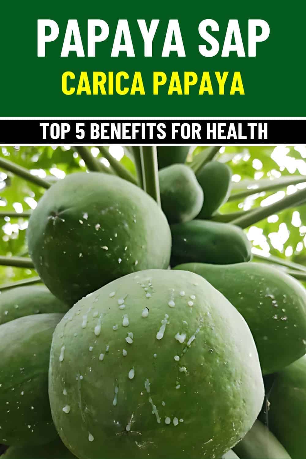 5 Surprising Health Benefits of Papaya Sap Most People Overlook