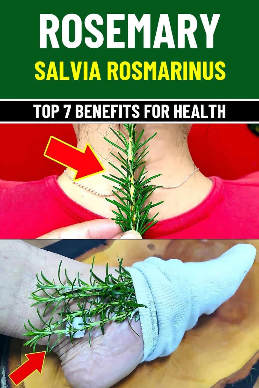 7 Powerful Health Benefits of Rosemary to Boost Your Well-Being