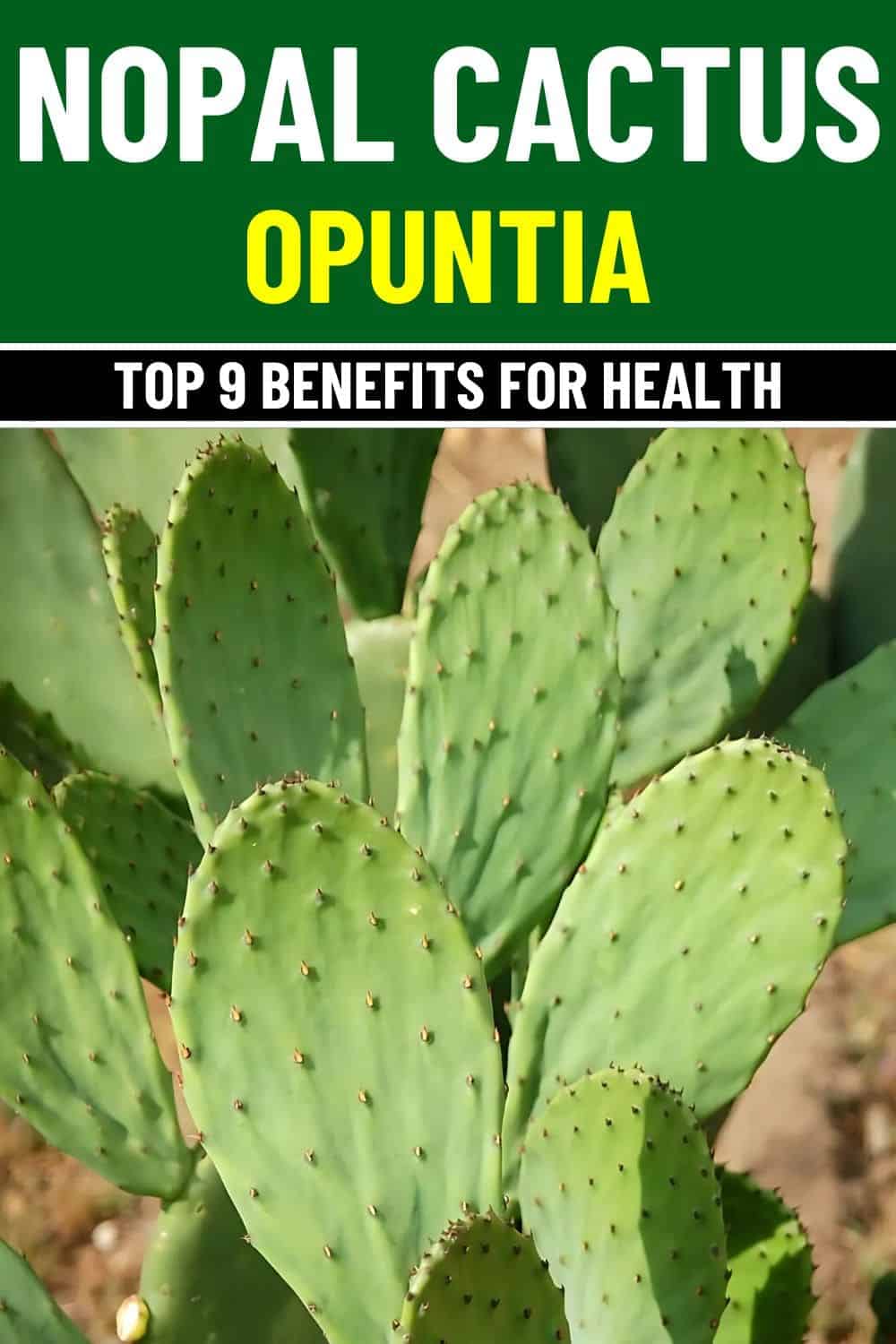 9 Amazing Health Benefits of Nopal Cactus You Need to Know