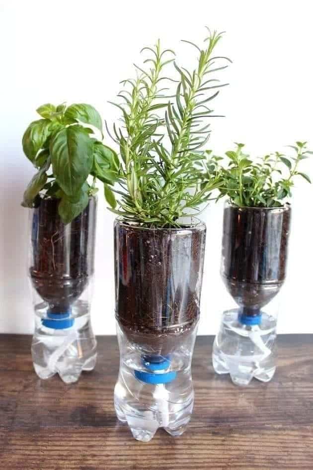 Guide to Making Self-Watering Herb Planters For Under $10