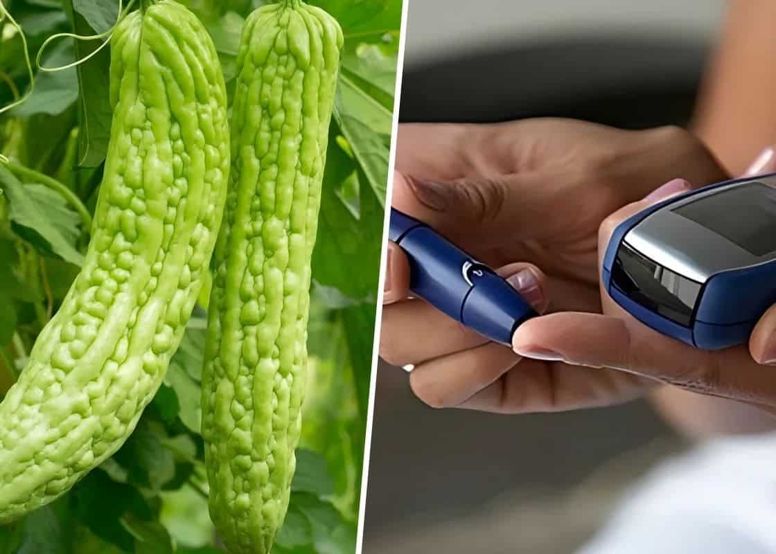 Everyone Managing Blood Sugar Naturally Needs to Know About Bitter Melon. Here’s Why