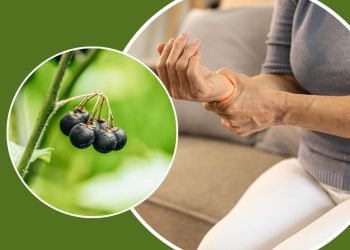 6 Surprising Health Benefits of Black Nightshade You Should Know