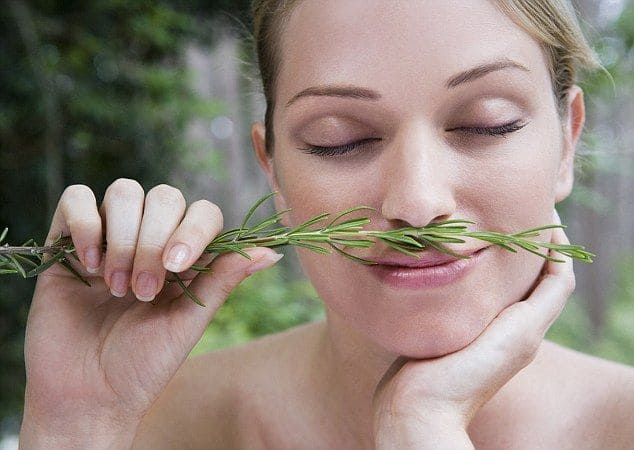 7 Powerful Health Benefits of Rosemary to Boost Your Well-Being