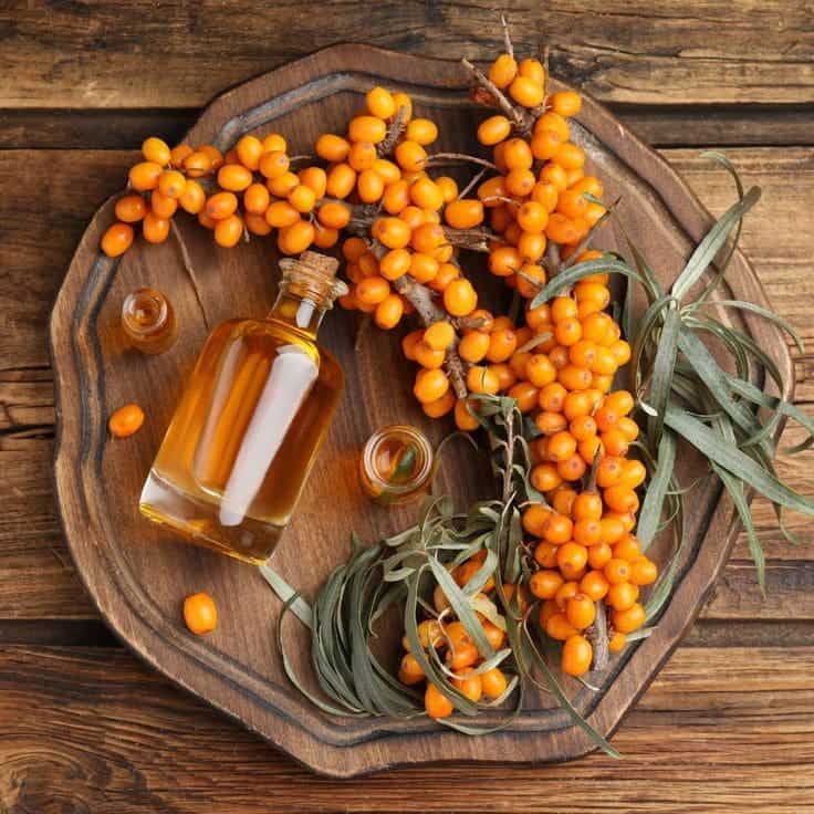 How Sea Buckthorn Can Help Slow Down Your Aging Process?