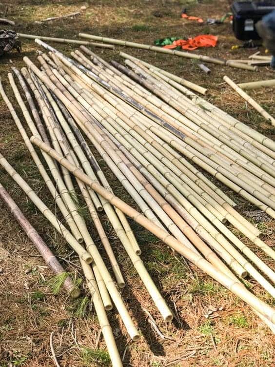 DIY Guide to Building a Bamboo Trellis for Cucumber Plants