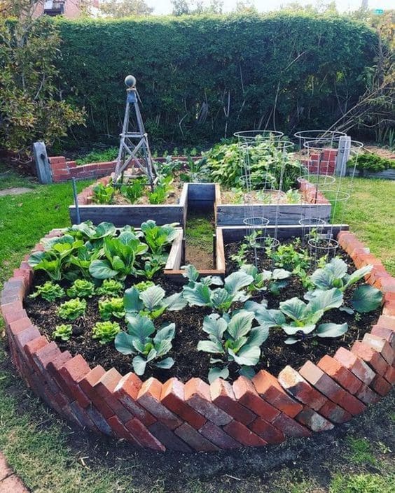 The Complete Guide to Building and Growing a Keyhole Garden