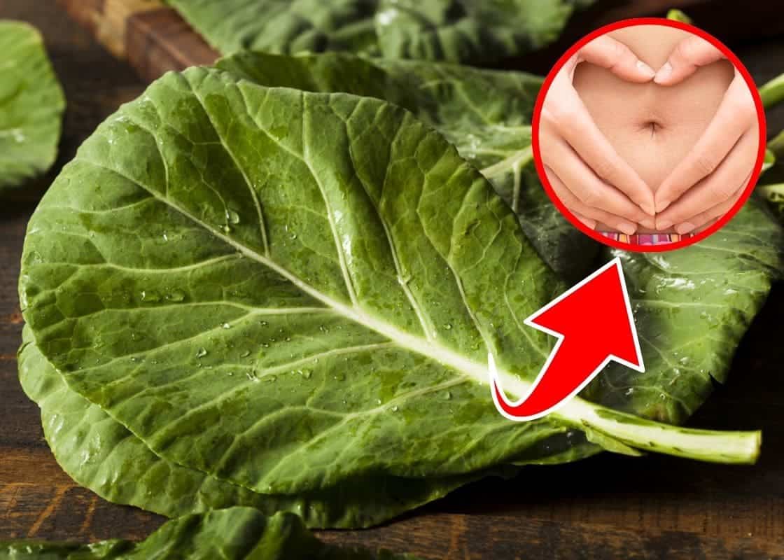 7 Amazing Health Benefits of Collard Greens You Can’t Ignore